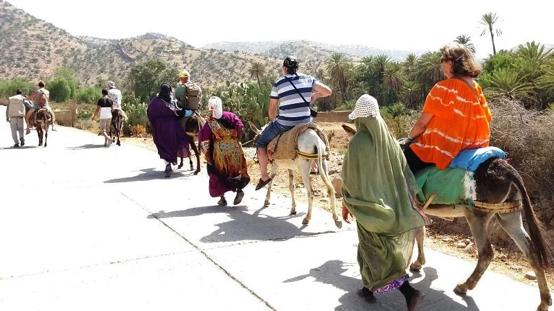 excursion-taroudant-tiout-12-1.webp